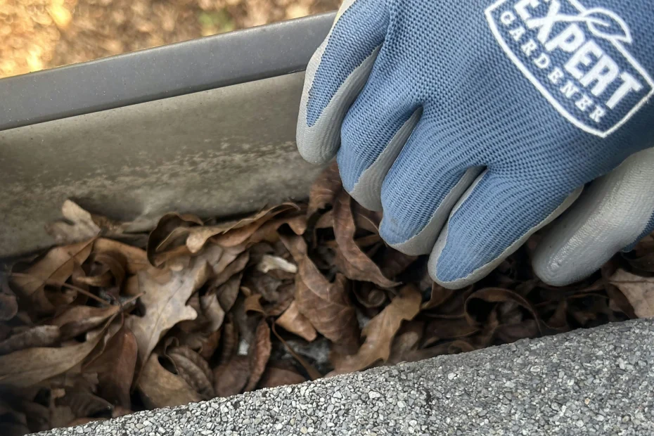 Gutter Cleaning Murphy TX