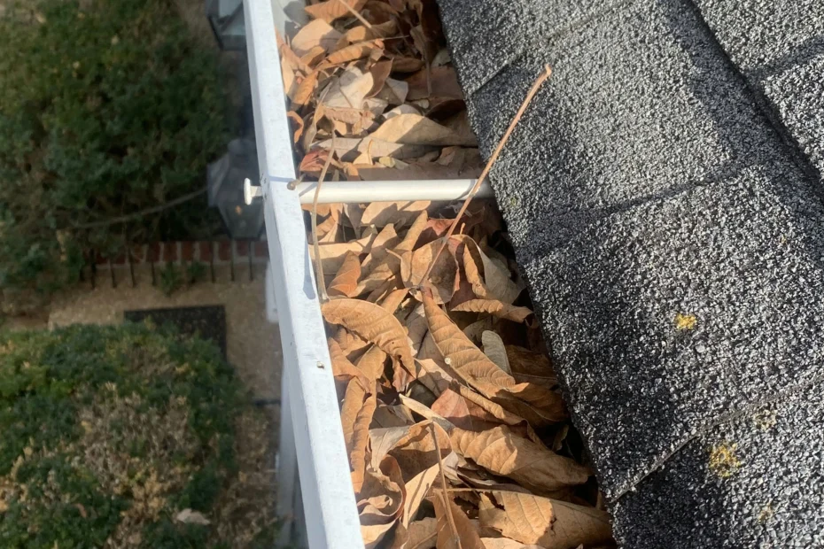 Gutter Cleaning Murphy TX