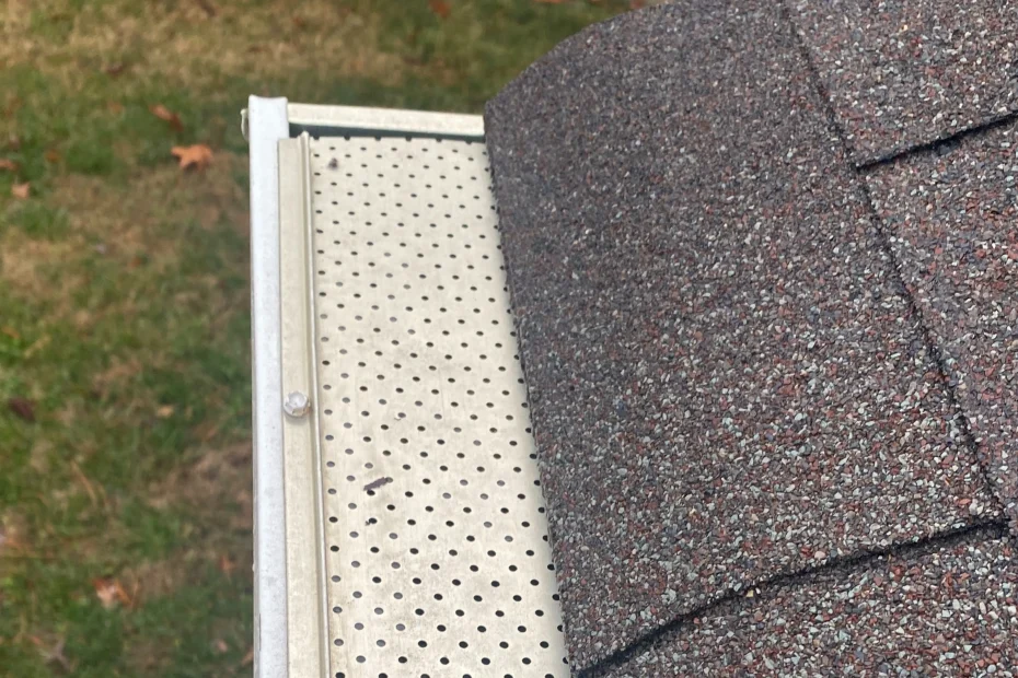 Gutter Cleaning Murphy TX